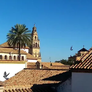La Mirada De La Juderia Apartment Cordoba